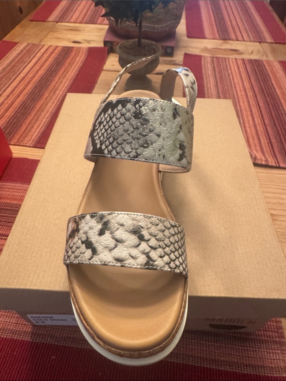 Steve Madden  Brenda gold Snake-Print Sandal in Neutral Tones